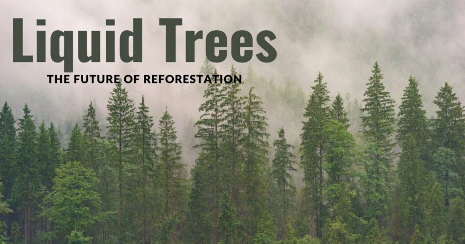 Liquid Trees