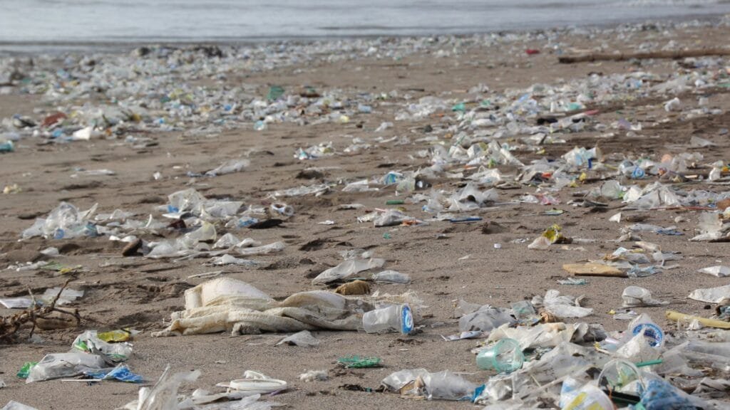 Plastic Waste
