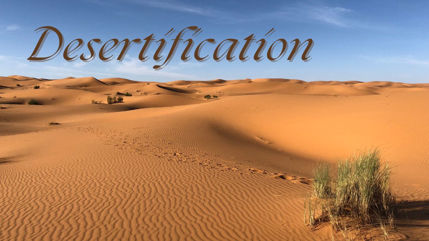 Desertification