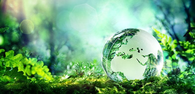 Conservation vs Sustainability