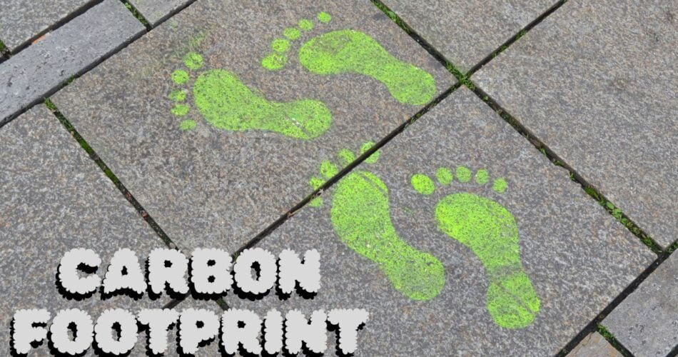 Carbon Footprint