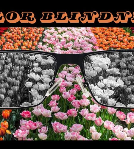 Color Blindness