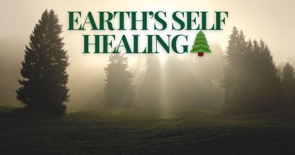 Earth's Self Healing