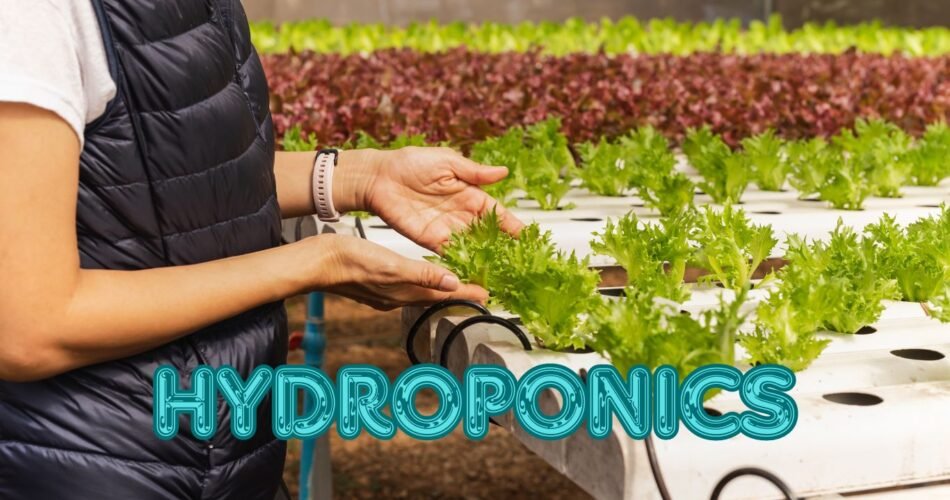 Hydroponics