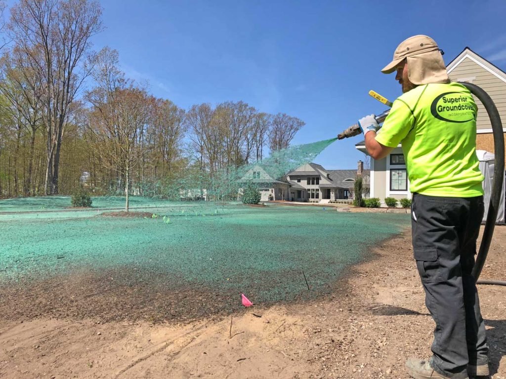 Hydroseeding Technique
