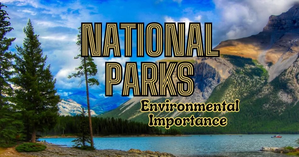 Environmental Importance of National Parks