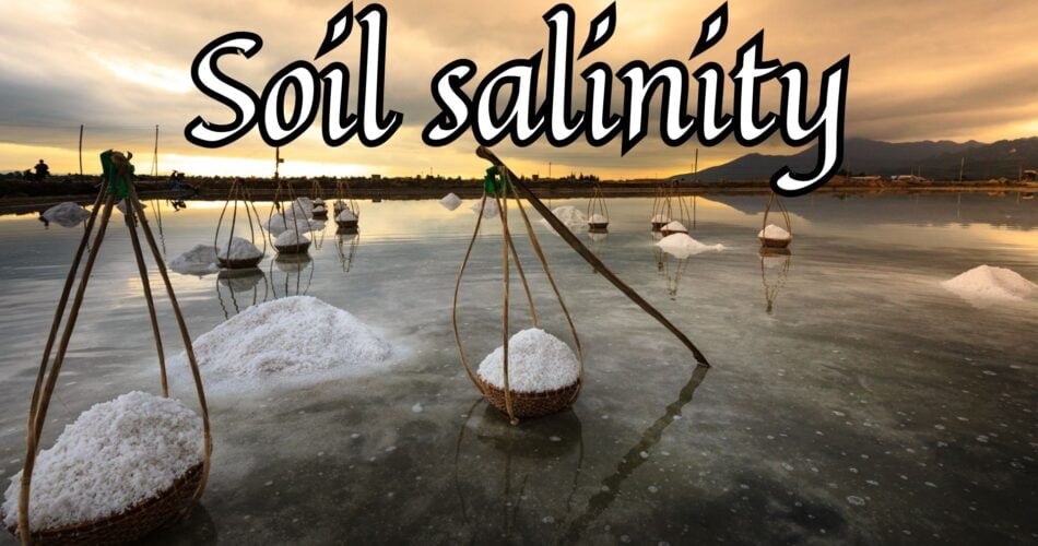 Soil Salinity