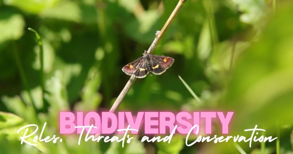 Biodiversity