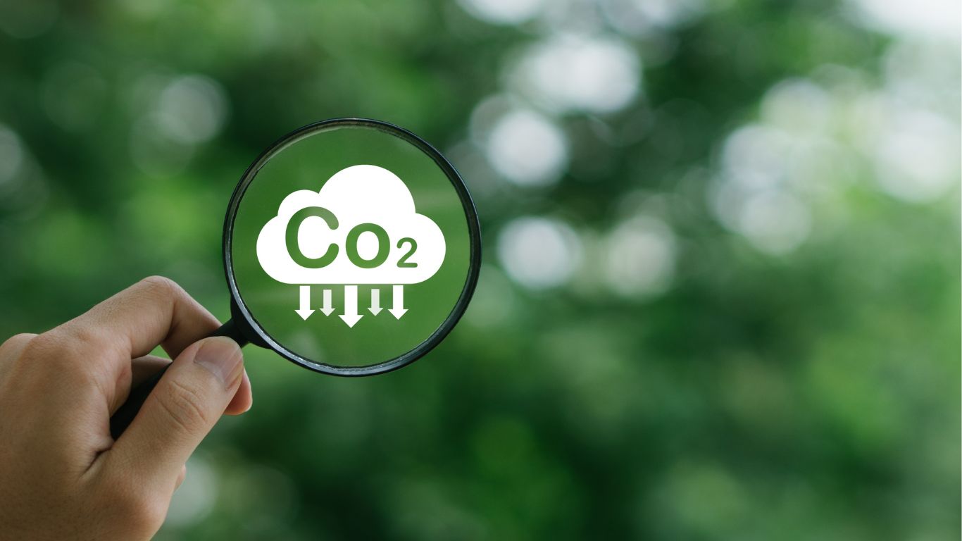 Carbon Footprint Causes and Effects - Info Hut