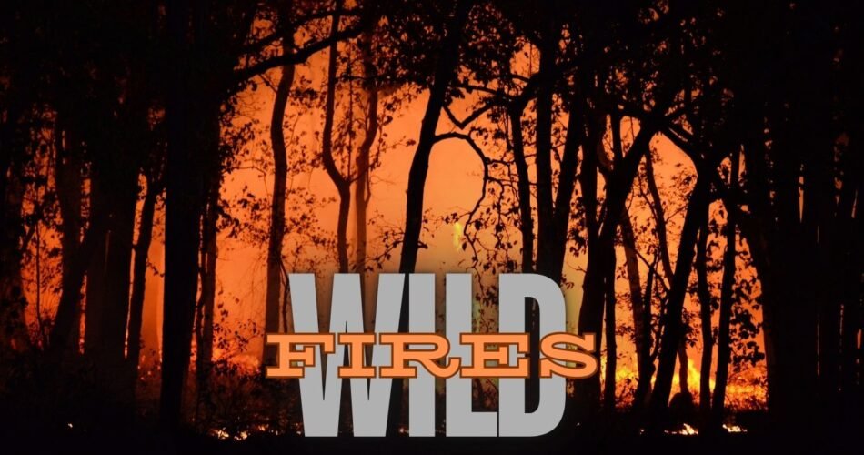 Wildfires