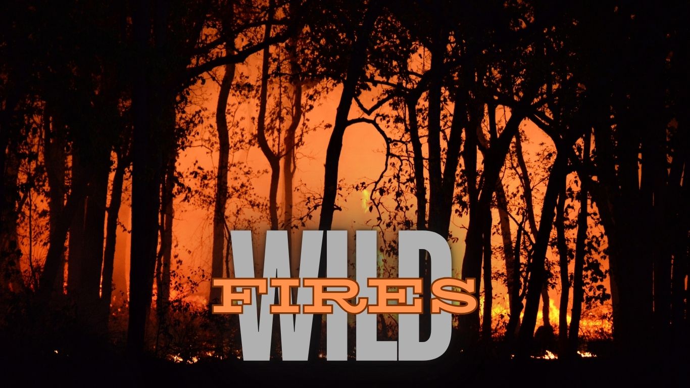 Wildfires