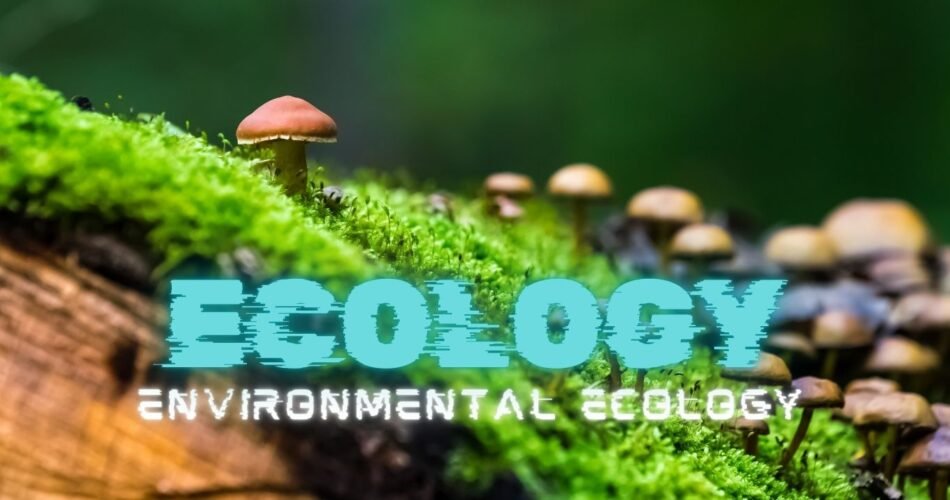 Ecology