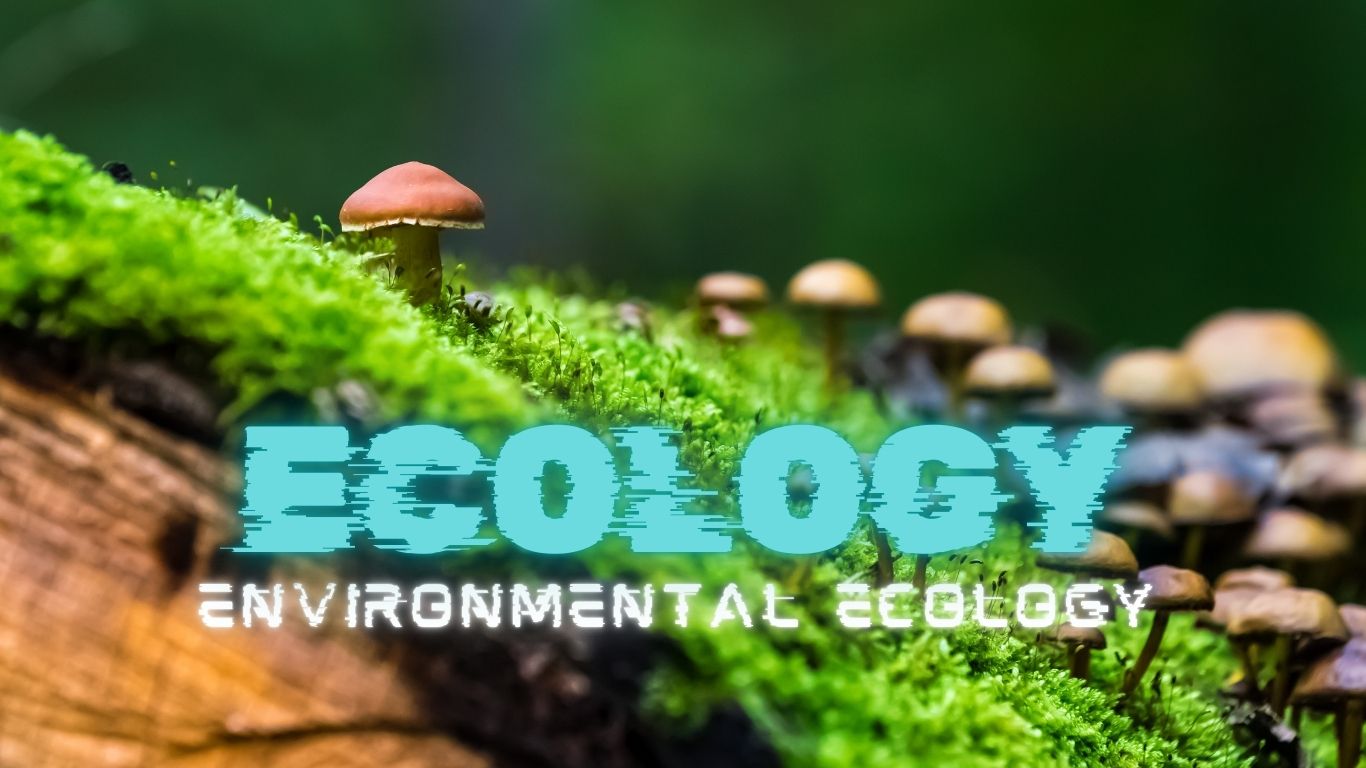 Ecology