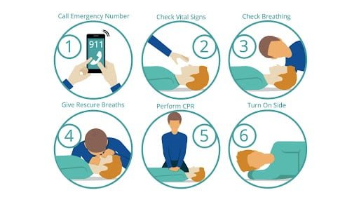 Importance of CPR