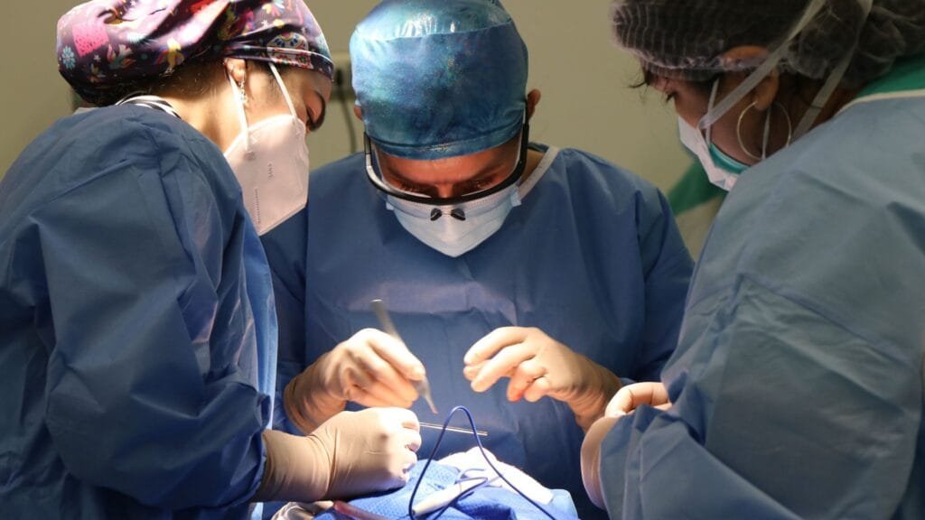 Importance of Cosmetic Surgery