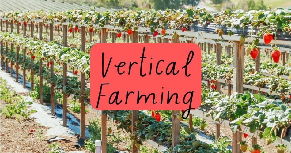 Vertical Farming