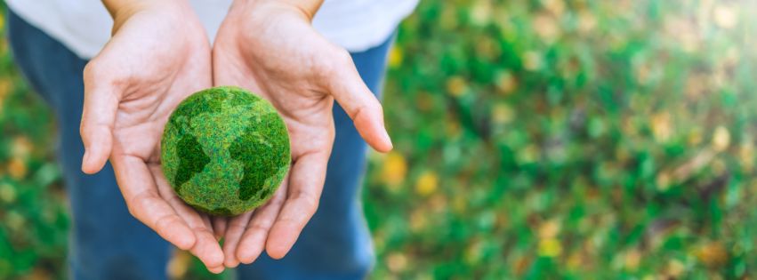 Info Hut, Environmental issues