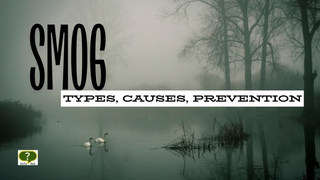 Smog Solution Types of Smog, Causes and Prevention - Info Hut