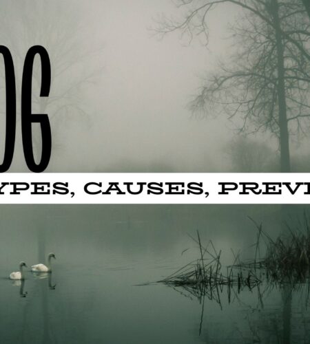 Types of Smog, Causes and Prevention