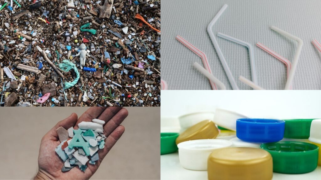 Impacts of Microplastics
