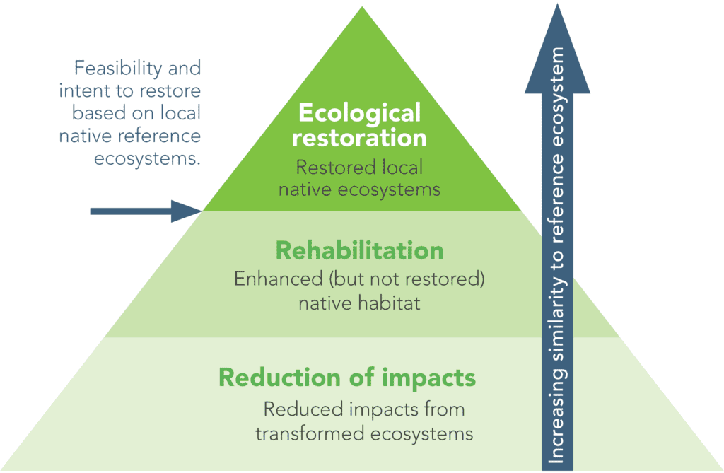Purpose of Restoration Ecology