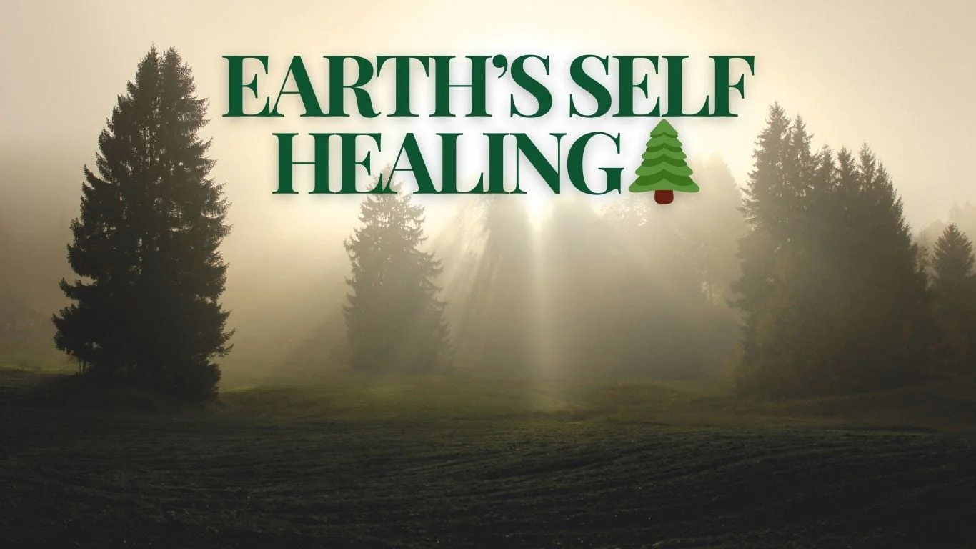 Earth's Self Healing