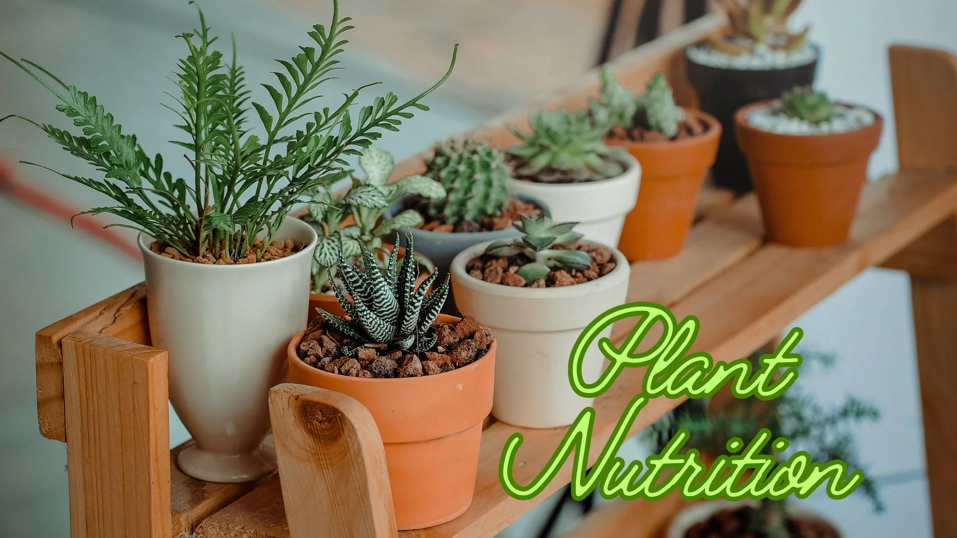 Plant Nutrition