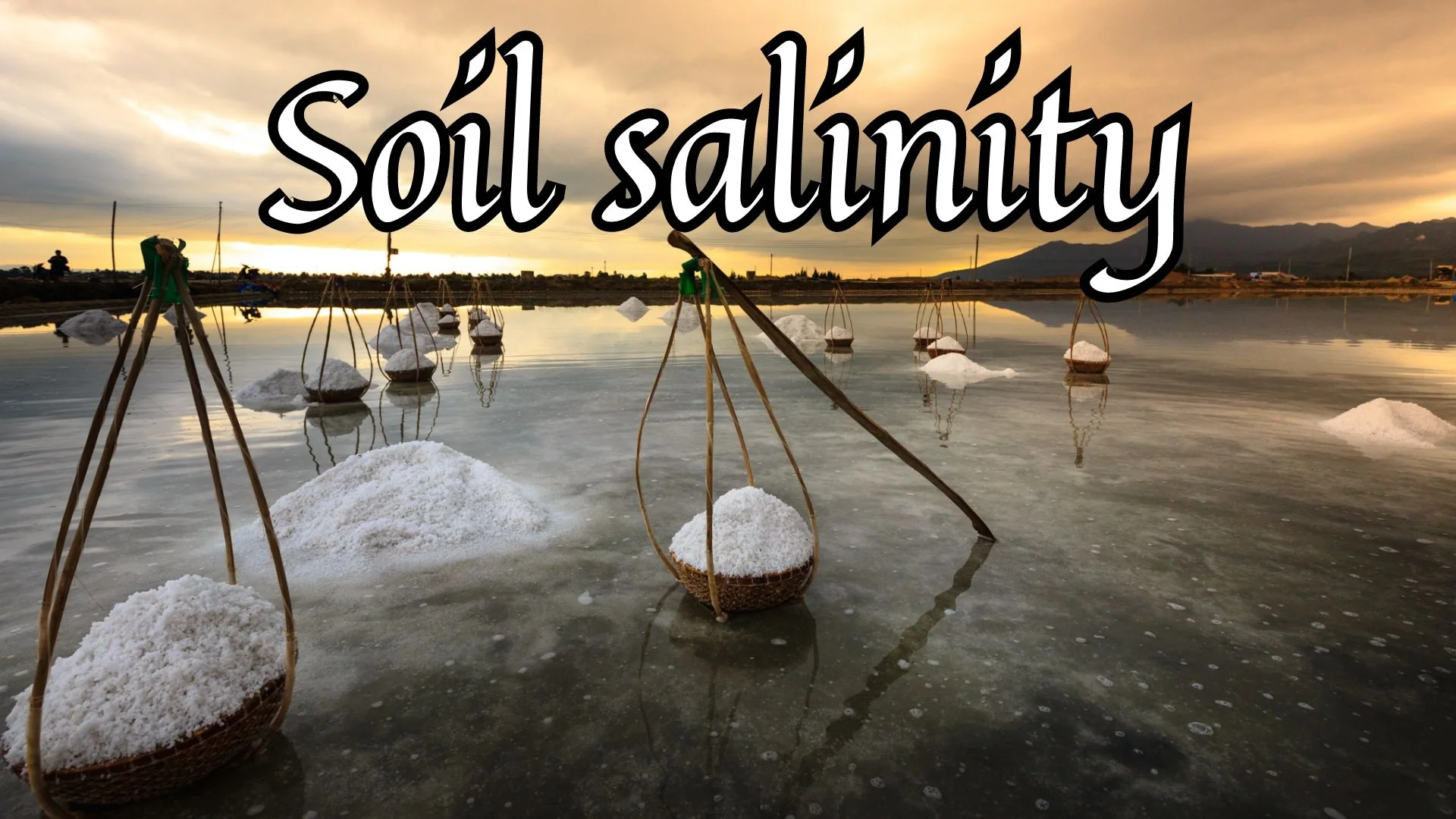 Soil Salinity