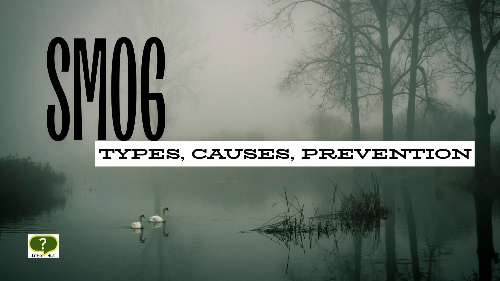Types of Smog